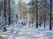 Картина "Спокойствие зимнего леса"
